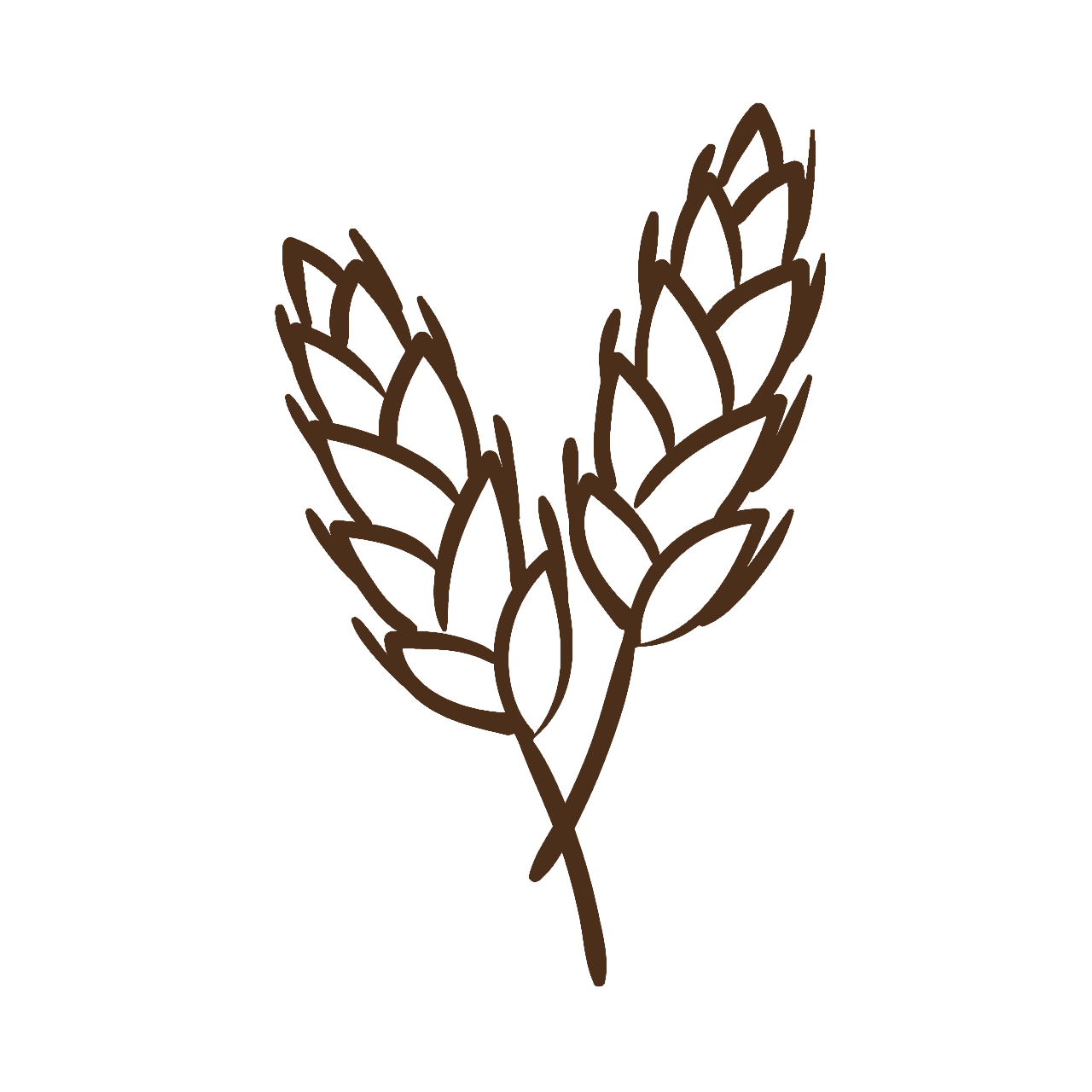 Logo Agrinho
